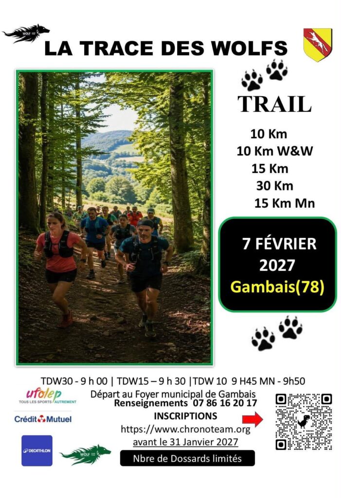 Affiche - La Trace des Wolfs